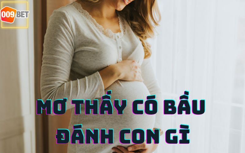 MƠ THẤY CÓ BẦU ĐÁNH CON GÌ